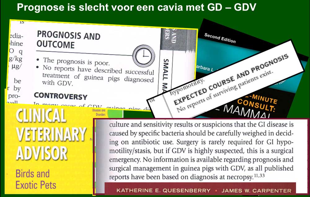 In de literatuur is er een slechte prognose bij MDV